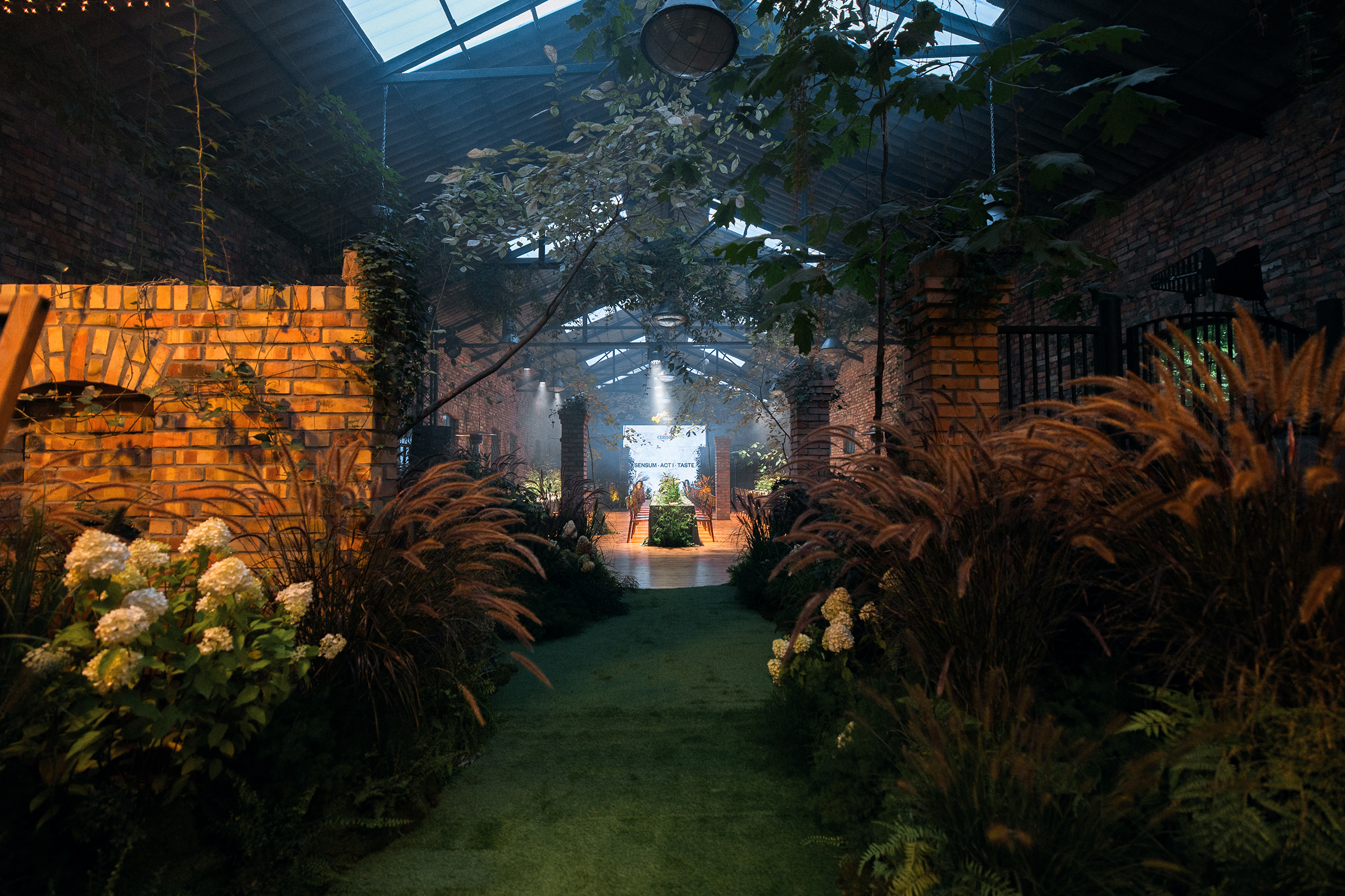 immersive dining experience